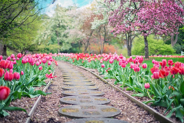winding garden pathway bordered by flowering plants leading to seating area