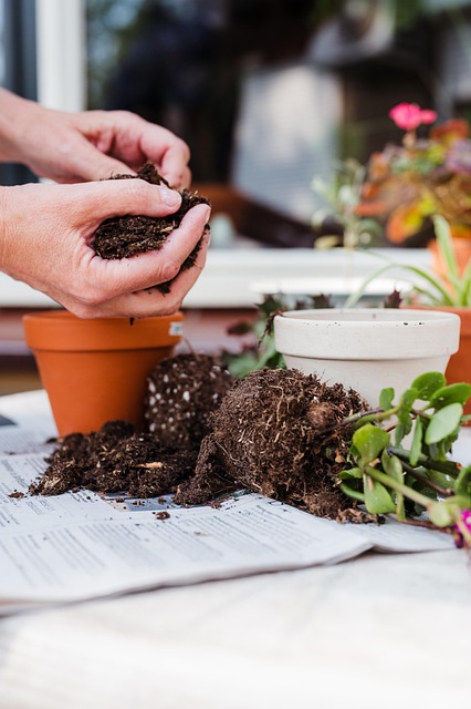 gardener preparing soil with compost and tools